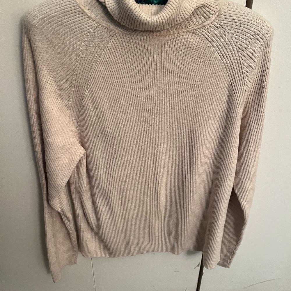 Turtleneck Sweater